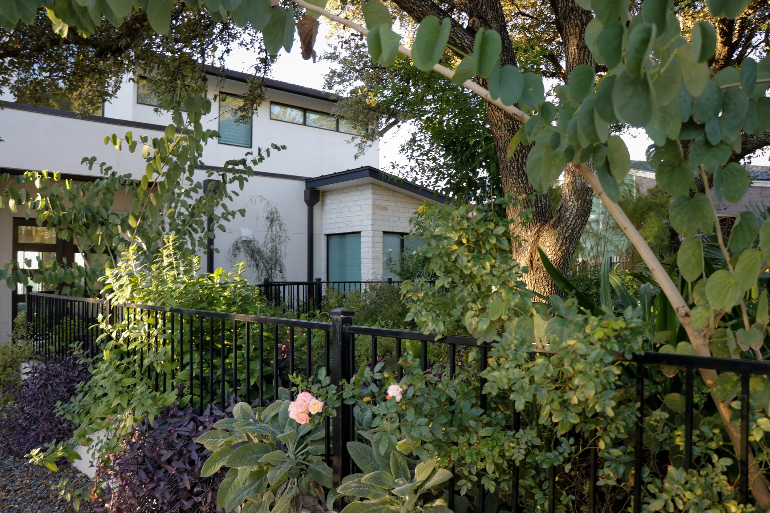 A beautifully landscaped yard in the Texas Hill Country with native plants and stone pathways.